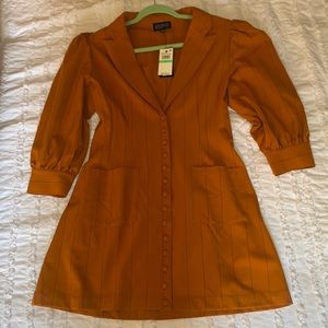 Danielle Bernstein Rust Pinstripe Mini Dress